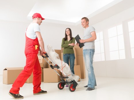 Mover loading packed cartons into a vehicle